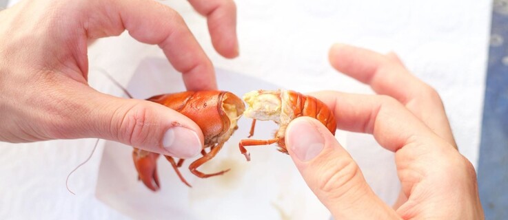 Как почистить раков в процессе еды